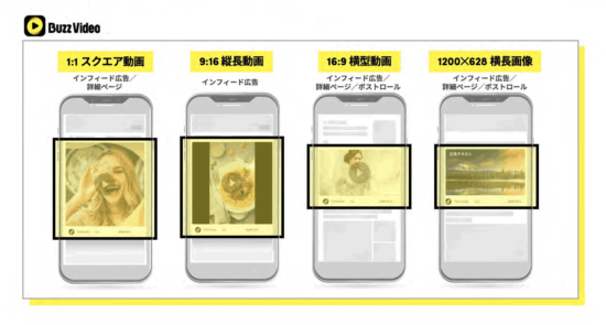 Bizz Videoの広告フォーマット