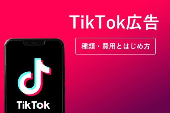 【わかりやすい】TikTok広告とは？種類・費用とはじめ方(サムネイル)